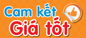 cam-ket-gia-tot