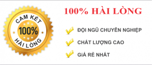 100% khách hàng hài lòng khi thuê may phát điện của chúng tôi!